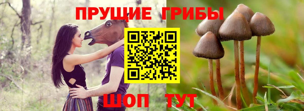 Псилоцибиновые грибы Cubensis  Вход с VPN  Нягань 